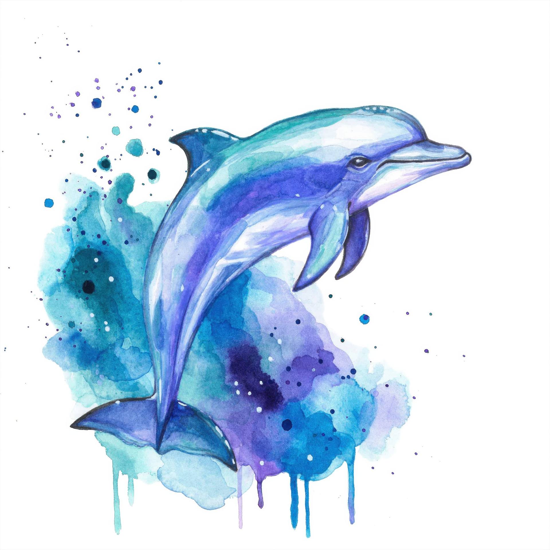 Colourful Dolphin Spirit Animal Watercolour Painting Painting by
