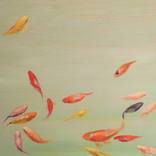 Goldfish Crowd by Valeria Pesce