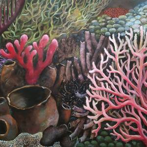 Collection Corals and Sea gardens