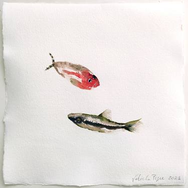 Original Fish Paintings by Valeria Pesce