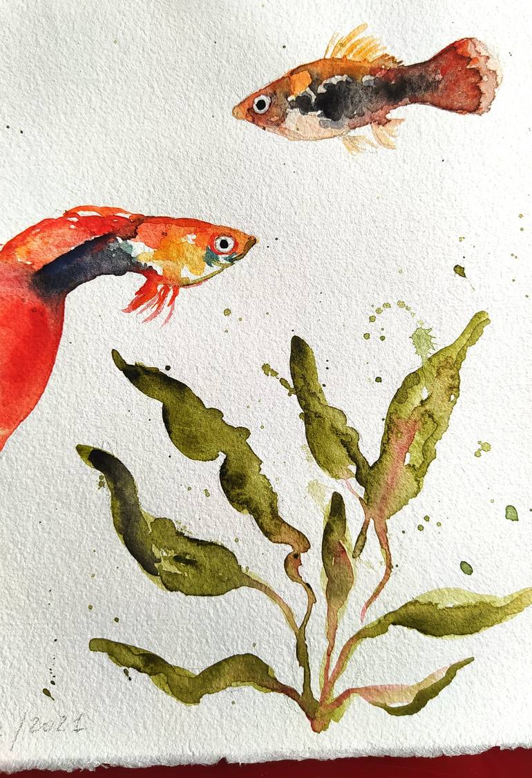 Original Fish Painting by Valeria Pesce