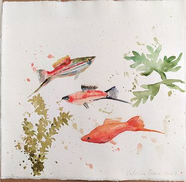 Original Fine Art Fish Paintings by Valeria Pesce