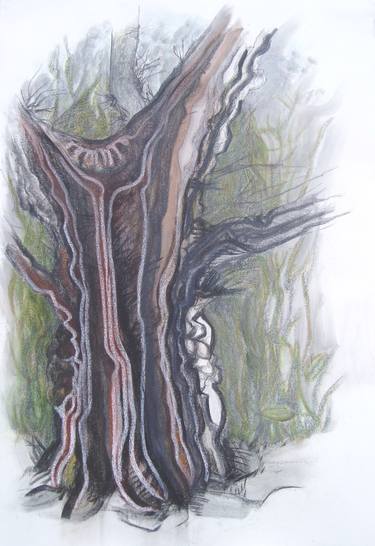 Original Tree Drawing by bodil damgaard
