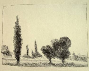 Italian Landscapes: trees in the Roman countryside, near via Appia Antica #05 (Series Landscape Ink, Graphite, Pencil, Charcoal Drawing) thumb