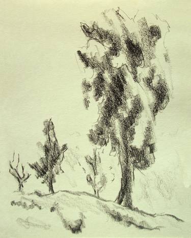 Italian Landscapes: four trees in the countryside #010 (Series Landscape Ink, Graphite, Pencil, Charcoal Drawing) thumb