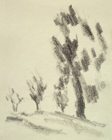 abstract drawings of trees