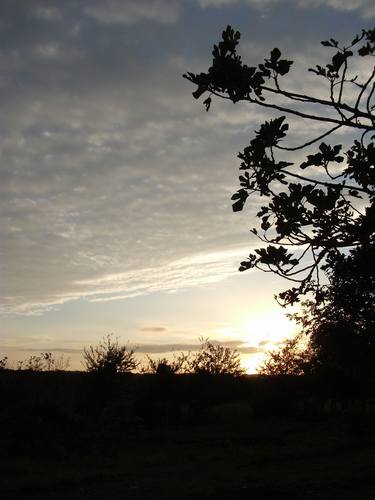 Italian landscape Sunshine - Sunset on Italian landscape - The Roman and italian landscape, Rome, Italy, photography thumb