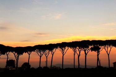 Italian Sunshine - Sunset on Italian landscape, pines - The Roman and italian landscape, Rome, Italy, photography thumb