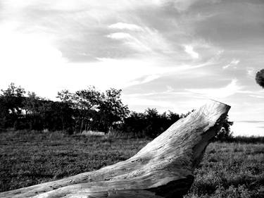 Landscape: Italian black and white - Landscape with tree trunk - The Roman landscape, Rome, Italy, photography thumb