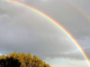 Italian Sunshine - Double rainbow on Roman sky with tree - The Roman landscape, Rome, Italy, photography thumb