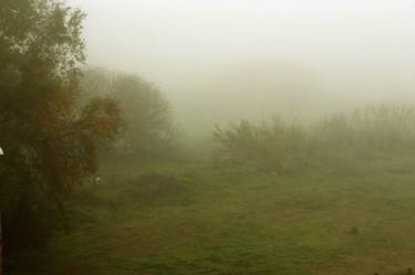Photography Landscape - Misty landscape with trees and field - The Roman landscape, Rome, Italy, photography thumb