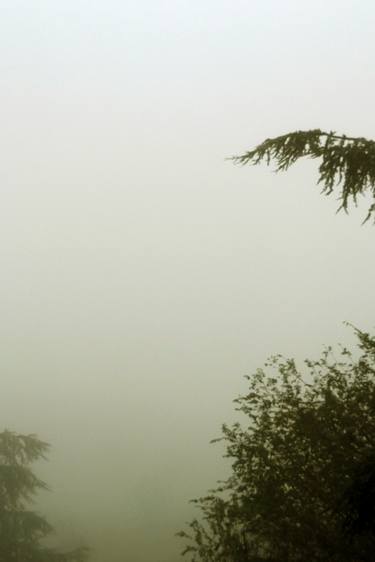 Photography Landscape - Misty landscape with trees - The Roman landscape, Rome, Italy, photography thumb