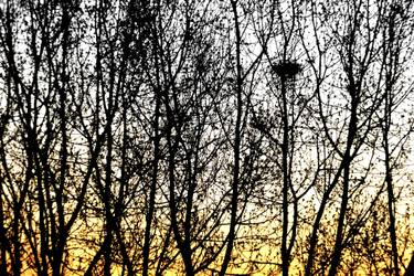 Original Realism Home Photography by Alessandro Nesci