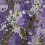 'botanical' (part of series) a by Liza Hathaway Matthews