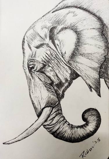 Original Animal Drawings by Roshan Barnes