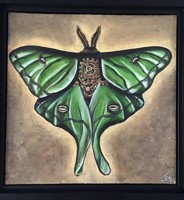 "Luna Moth Cycle" thumb