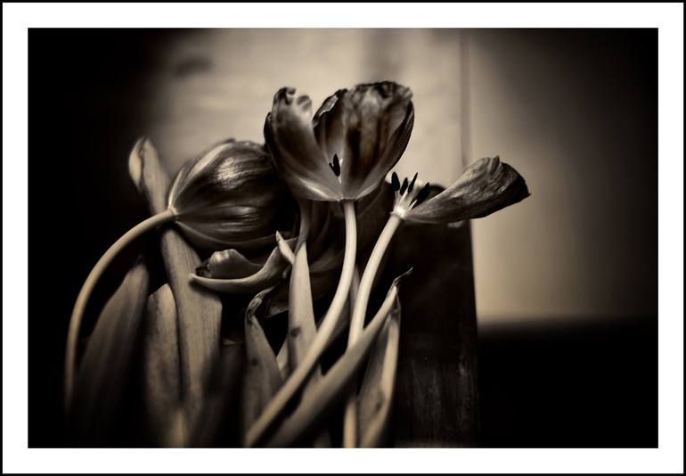 Original Figurative Floral Photography by frank verreyken