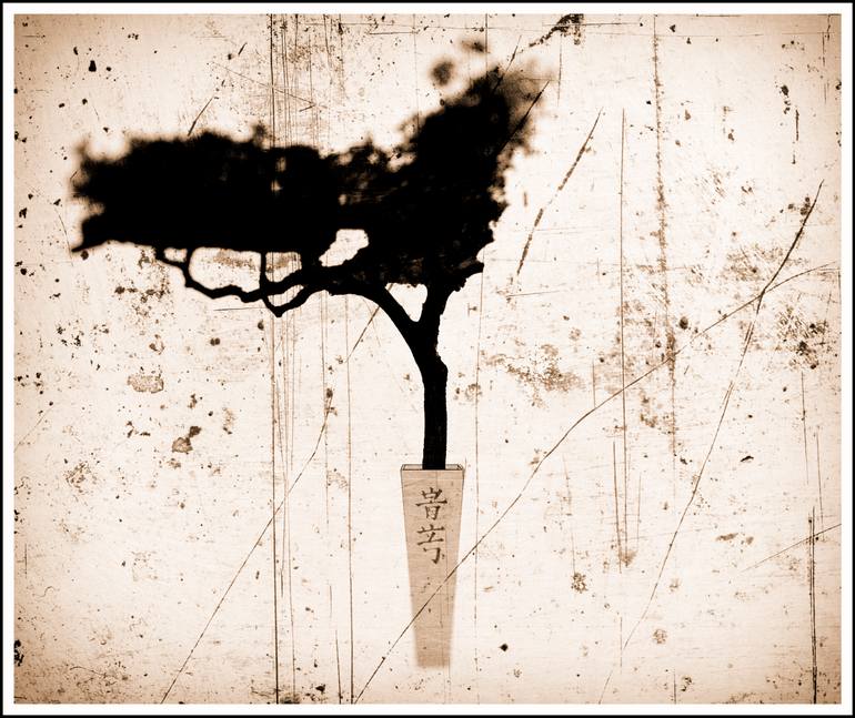 Original Digital Art Still Life Photography by Frank Verreyken