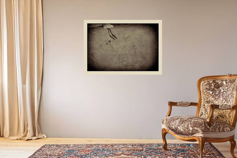 Original Black & White Animal Photography by Frank Verreyken