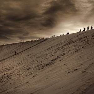 Collection Landscapes