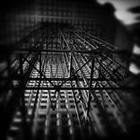 Steel Ascension by frank verreyken