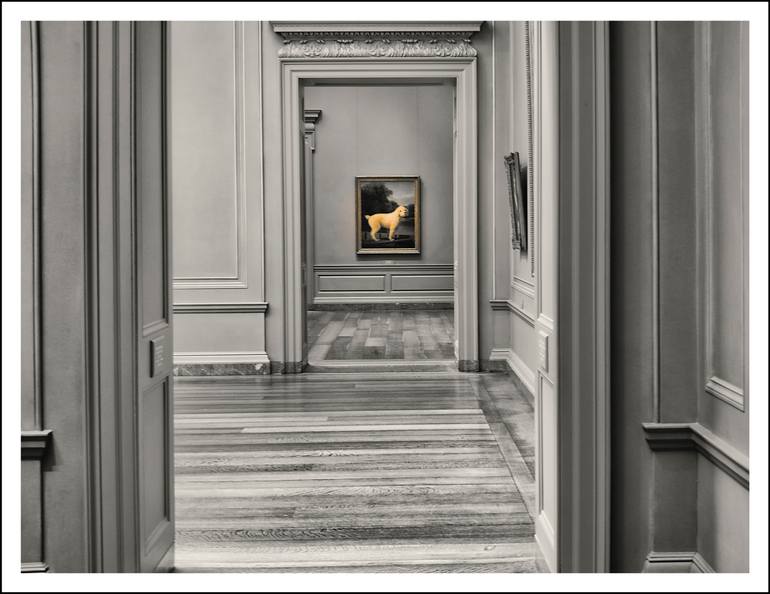 Original Other Photography by Frank Verreyken