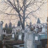 Collection Trick or Treat: Halloween