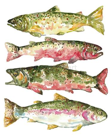 Trout species fish watercolor painting print art thumb