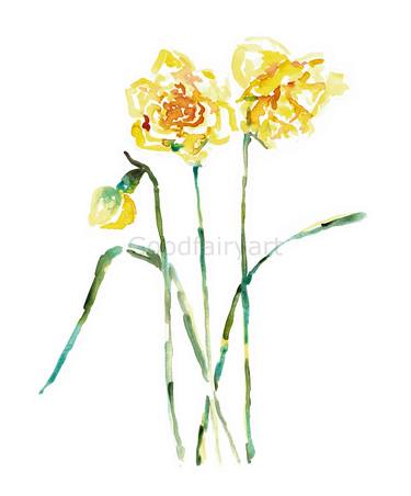 Narcissus flower Daffodil Painting thumb