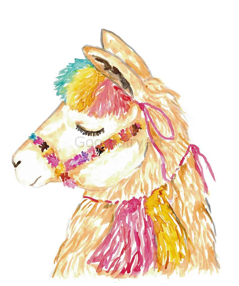 Original Animal Painting by Maryna Salagub  Illustration Art on Paper  Llama watercolor painting print art illustration