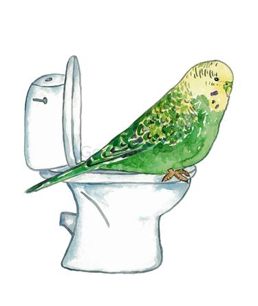 Bird budgie green toilet Painting thumb