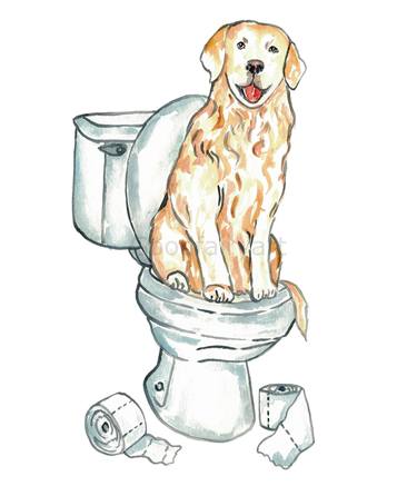 Dog golden retriever toilet Painting thumb