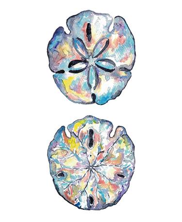 Sand dollar watercolor thumb