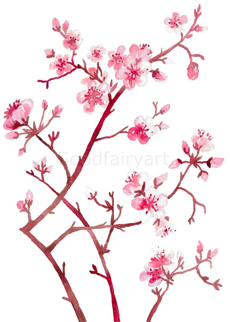 Original Floral Painting by Maryna Salagub | Abstract Art on Paper | Flower cherry blossom watercolor
