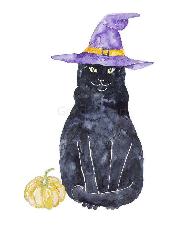 Wizard Cat Hat – Notso Kitty