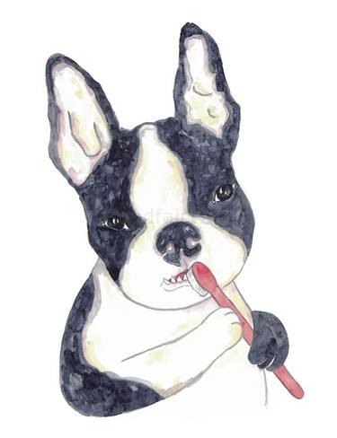 Boston terrier brushing teeth bath watercolor thumb