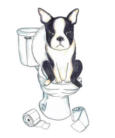 Boston terrier toilet Painting Wall Poster Watercolor thumb