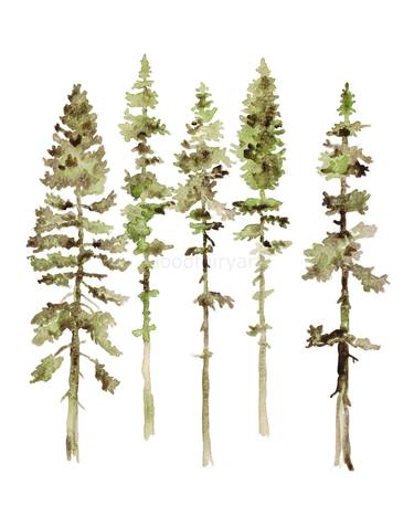 Pine trees Watercolor Painting thumb