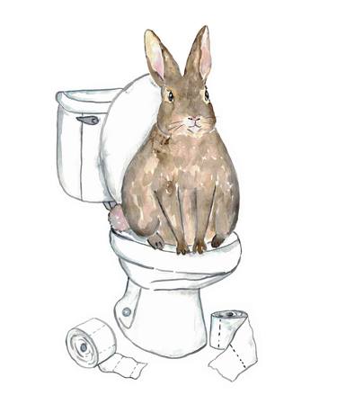 Rabbit toilet Painting Wall Poster Watercolor thumb