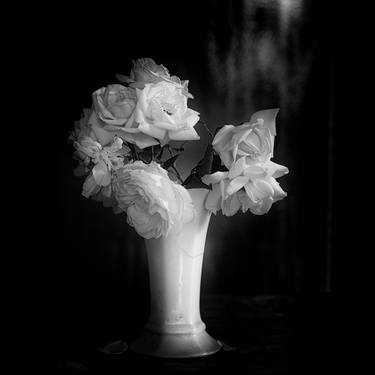 Print of Fine Art Floral Photography by Ellen Dornhaus