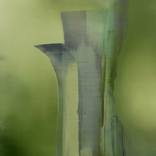 Green quiet by ingrid matthews
