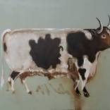 The Square Cow of Calke by Andy Allen