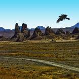 Trona Pinnacles and Raven - Limited Edition 1 of 25 by Mark McAfee Brown