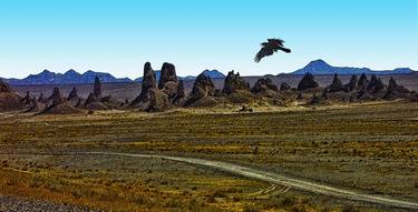 Trona Pinnacles and Raven - Limited Edition 1 of 25 thumb