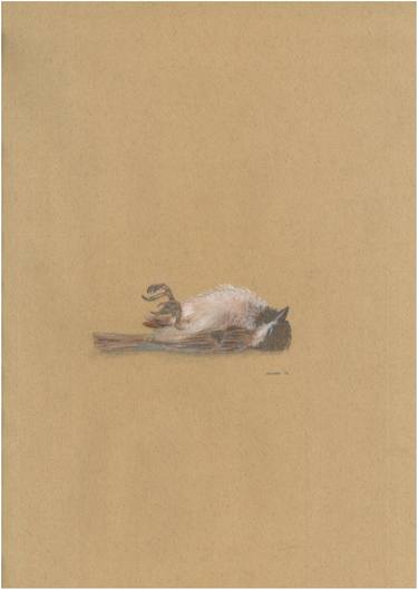 Print of Figurative Animal Drawings by Alexandra Rouard