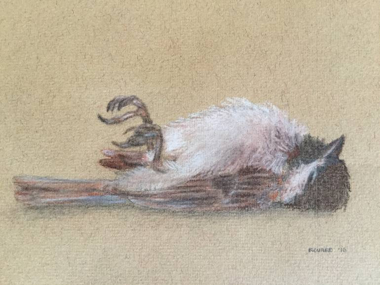 Sparrow Drawing by Alexandra Rouard | Saatchi Art