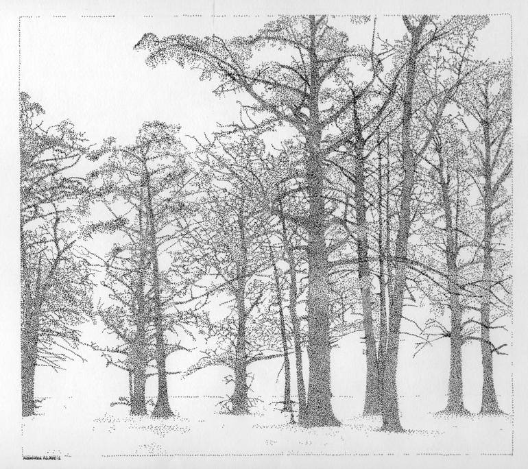 winter forest drawing