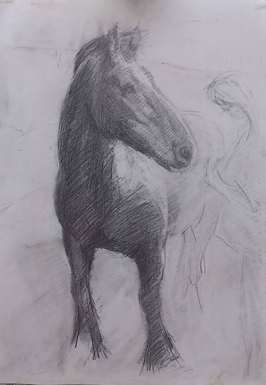 Original Horse Drawing by pip lovelock