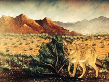 Desert Coyote thumb