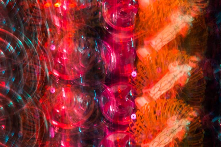 Original Fine Art Abstract Photography by Lissa Hahn